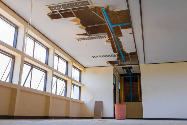 Best Water damage restoration near me  in Oroville, WA