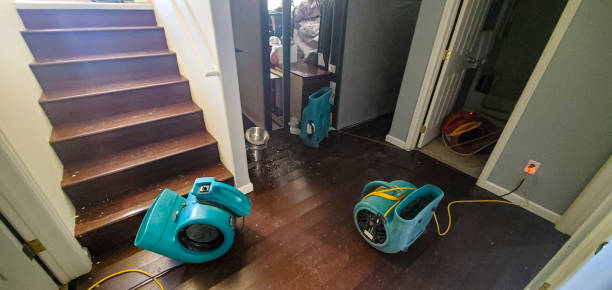 Best Water damage cleanup near me  in Oroville, WA