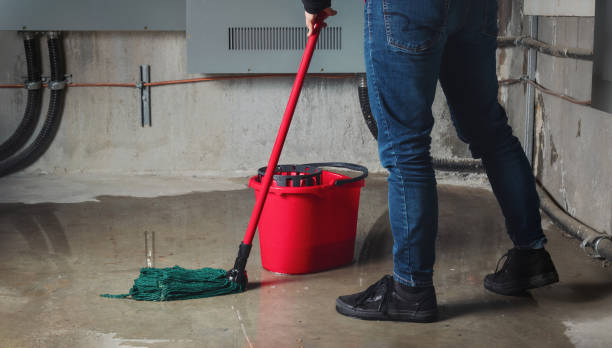 Best Water damage restoration near me  in Oroville, WA