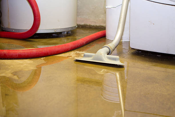 Best Fire Damage Restoration  in Oroville, WA