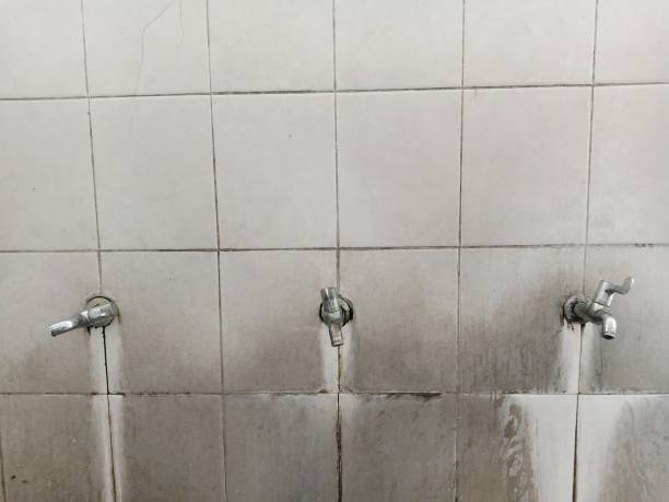 Best Flooded house restoration  in Oroville, WA