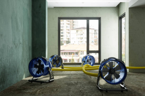 Best Mold removal after water damage  in Oroville, WA